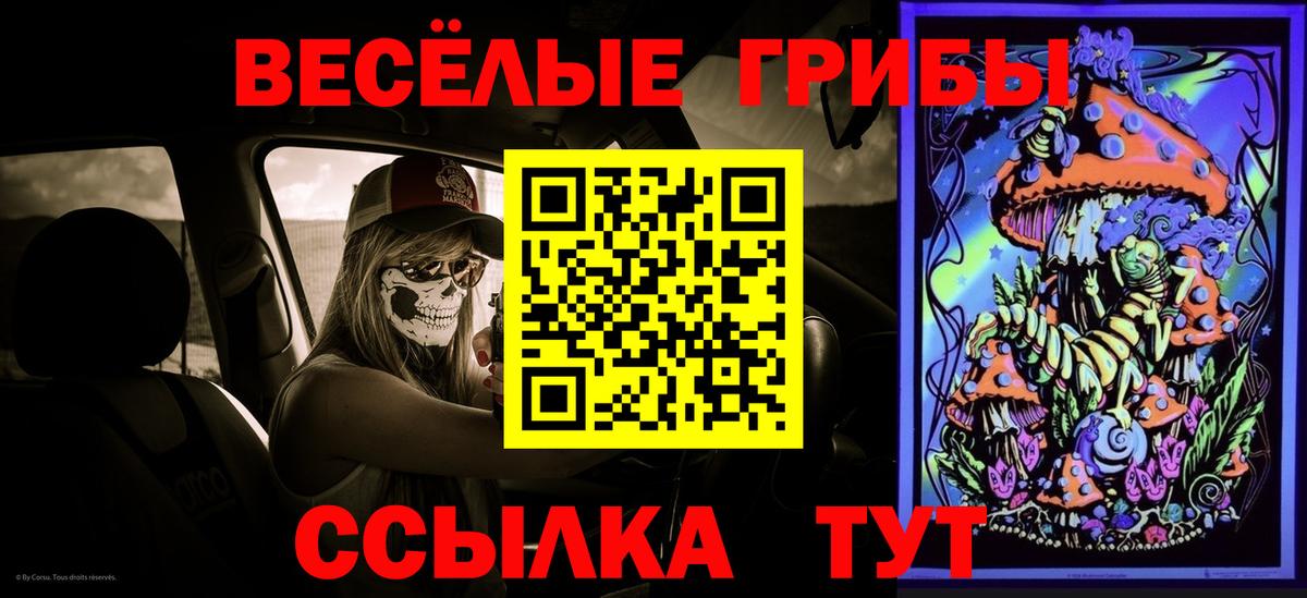 Борзя  Псилоцибиновые грибы Psilocybine cubensis  где купить наркоту  Вход с VPN 